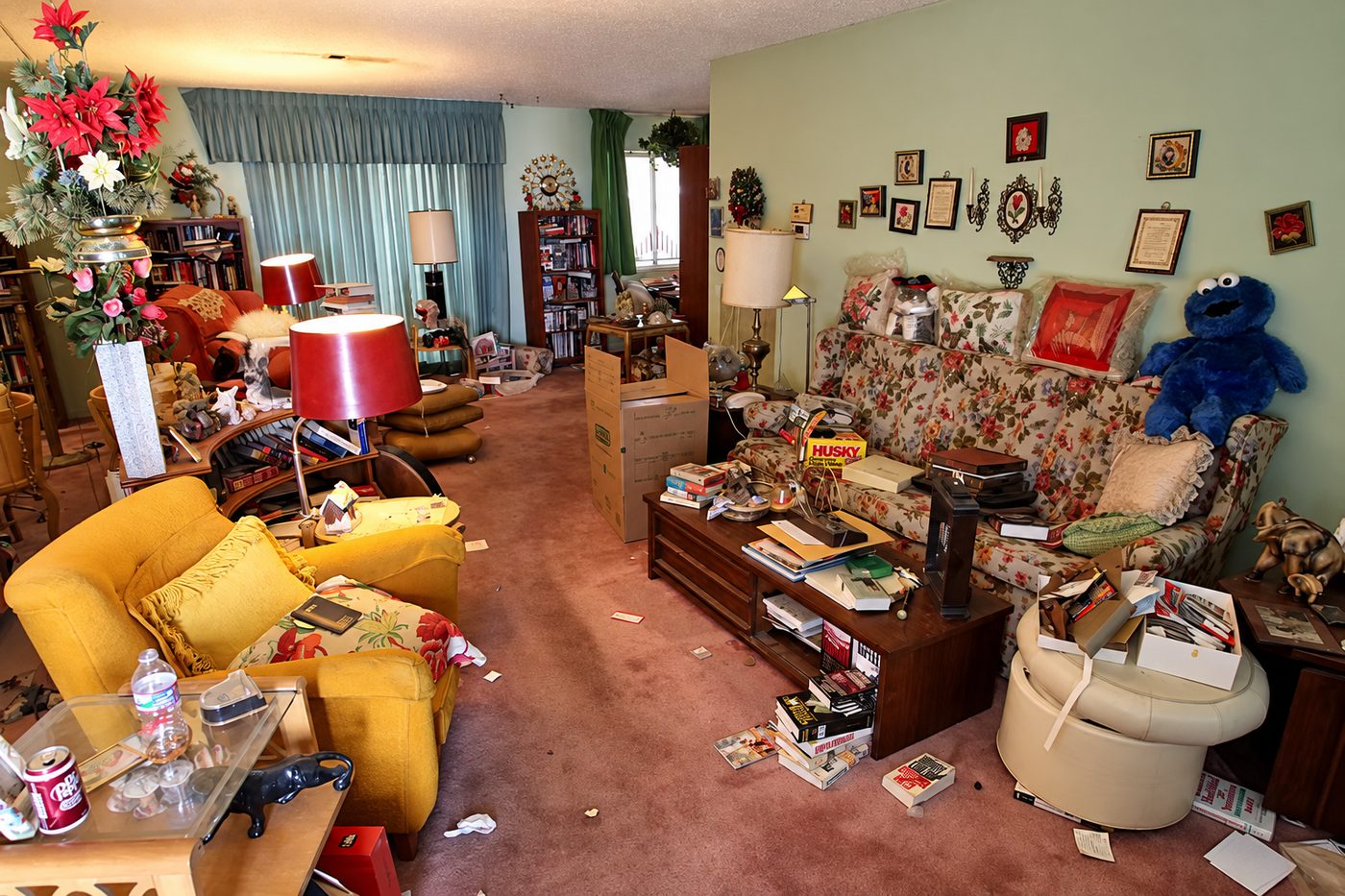 A living room filled with furniture, books, framed pictures and boxes of belongings